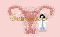 北京试管助孕机构,找女人代怀产子公司,试管婴儿包成功包生儿子-代怀套餐费用-供卵试管中心